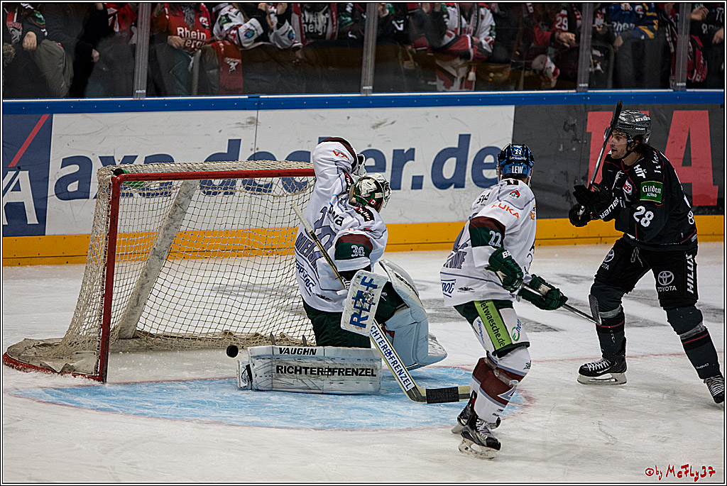 DEL, Koelner Haie - Augsburger Panther, 13.01.2017